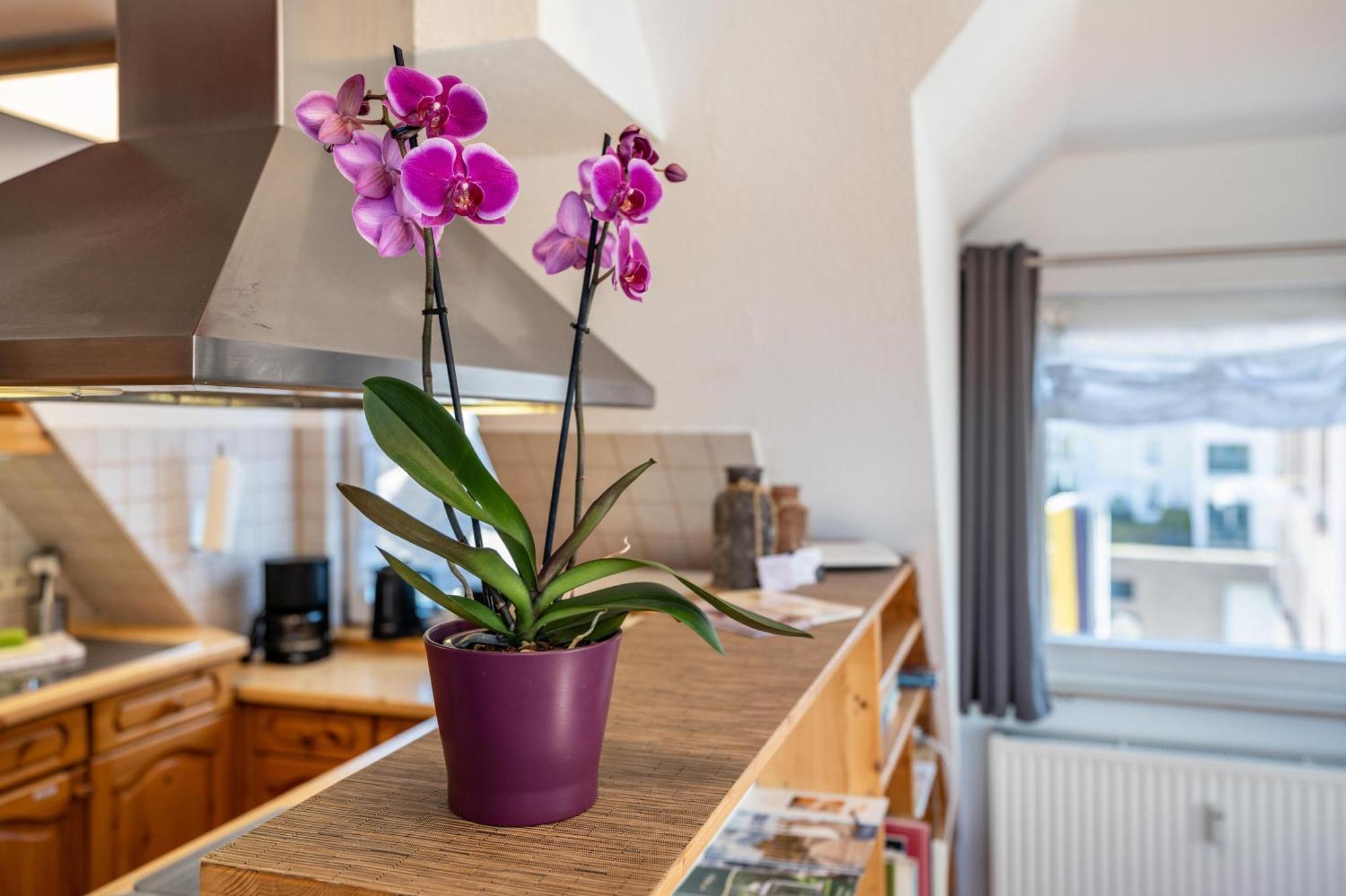 Appartamento Schwarzwaldnest Bad Wildbad Esterno foto